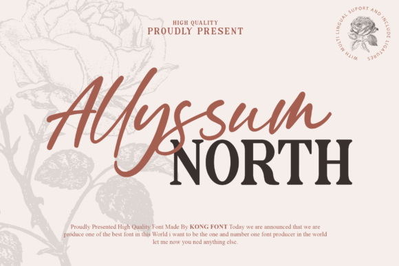 Allyssum North for Modern Web Design