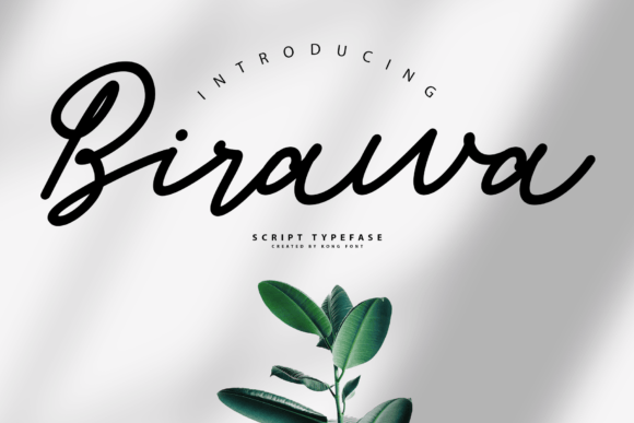 Birawa: A Playful Script Font for Web Design