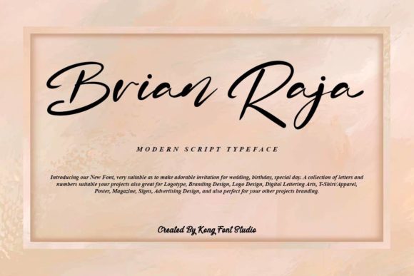 Brian Raja Font Review for Design Projects