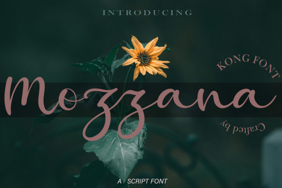 How Mozzana Transformed My Campaign Design Workflow