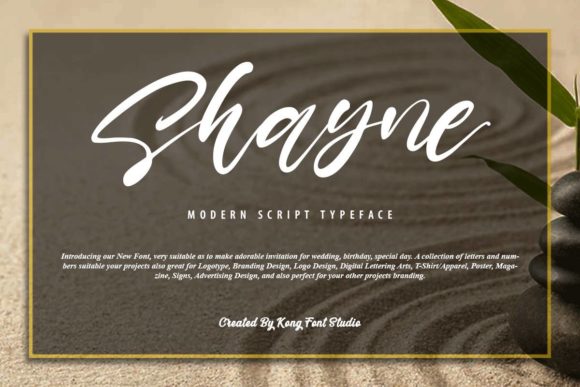 Shayne Font Review for Real Design Projects